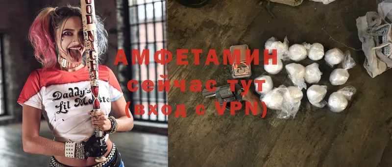 Amphetamine Premium  Богданович 